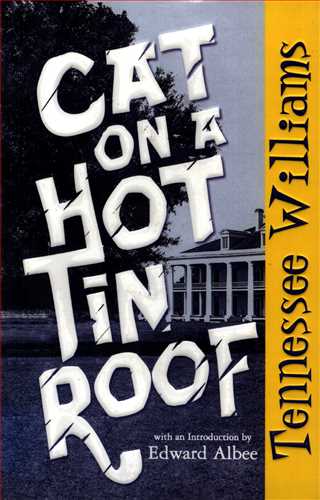 Cat On A Hot Tin Roof