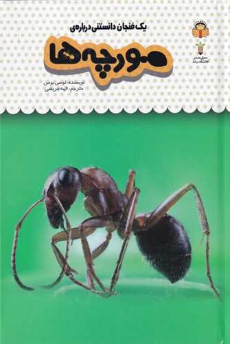 یک فنجان دانستنی درباره: مورچه ها (خورشید خانوم)