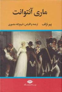 item.website_item_name