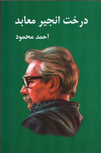 درخت انجیر معابد 2 جلدی