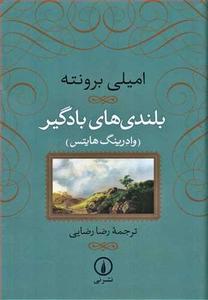 item.website_item_name