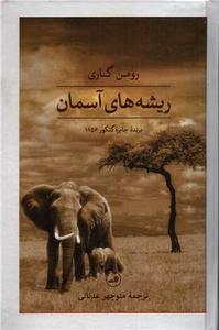 item.website_item_name