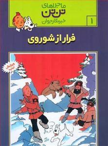 item.website_item_name