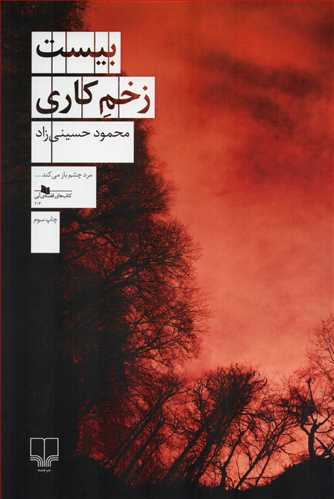 بیست زخم کاری (کتابهای قفسه آبی_ چشمه)