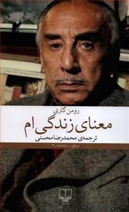 item.website_item_name