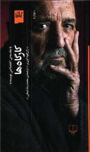 item.website_item_name