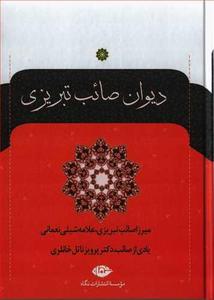 item.website_item_name