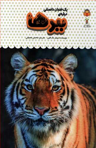 یک فنجان دانستنی درباره ی: ببرها (خورشید خانوم)