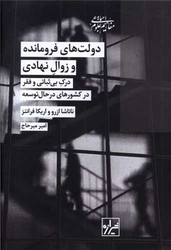 دولت‌های فرومانده و زوال نهادی - درک بیثباتی و فقر در کشورهای در حال توسعه