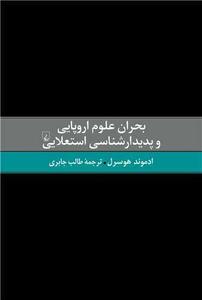 item.website_item_name