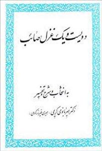 item.website_item_name