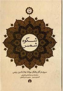 item.website_item_name