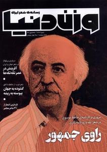 item.website_item_name