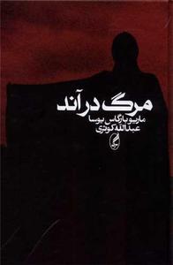 item.website_item_name