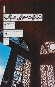 item.website_item_name