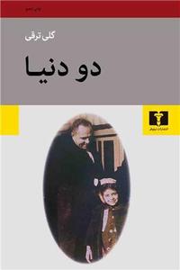 item.website_item_name