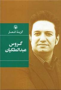 item.website_item_name