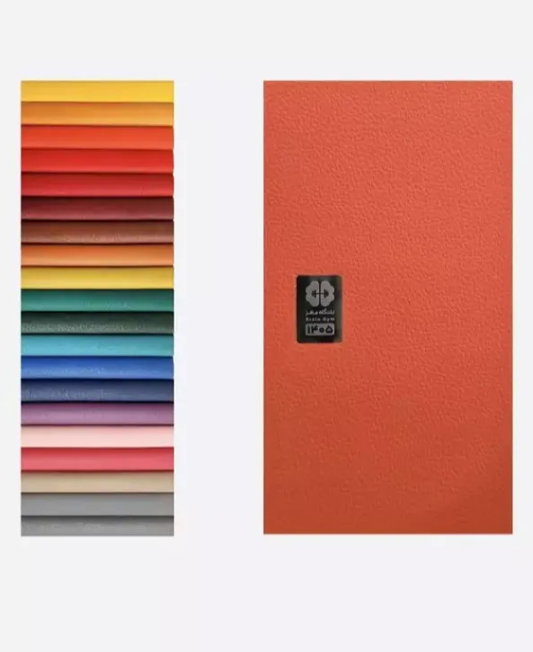 سالنامه باشگاه مغز اروپایی 1405 - چند رنگ چرم